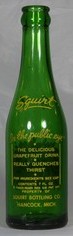 Squirt bottle